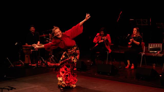 Flamenco: performances en workshop